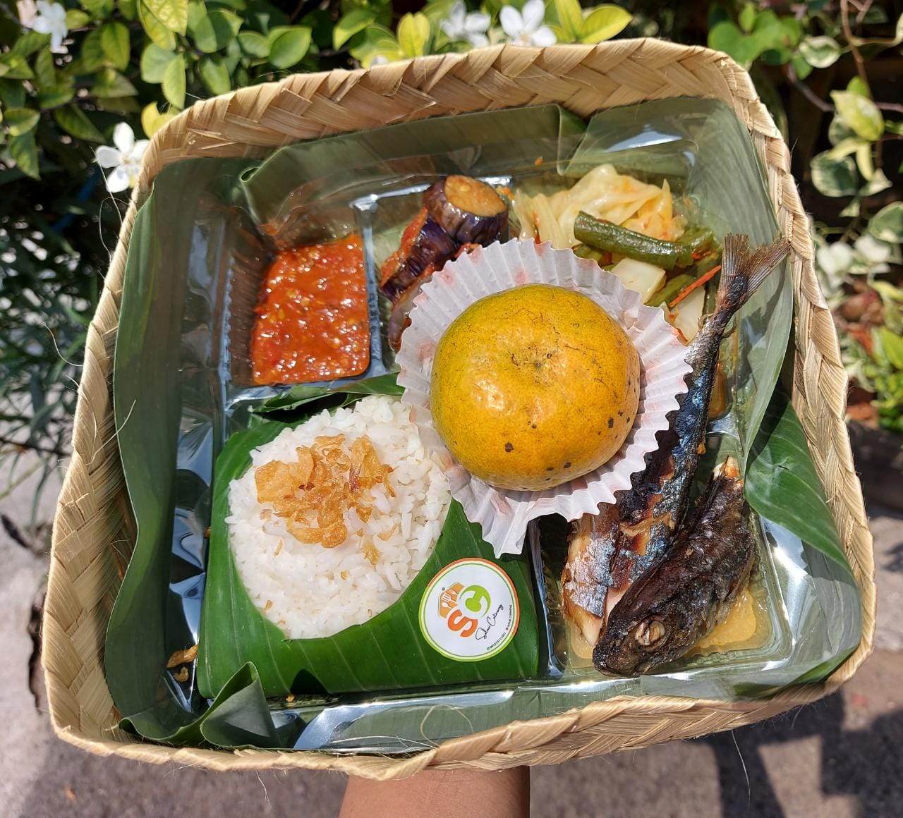 Paket Ikan
