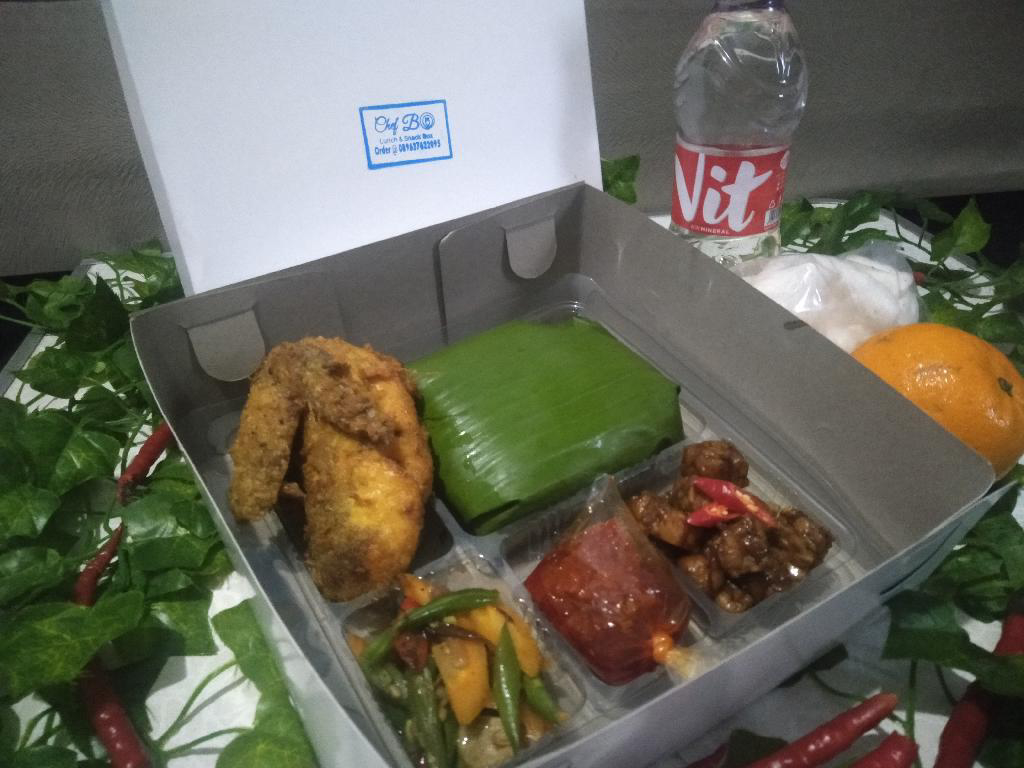 paket nasi ayam goreng1