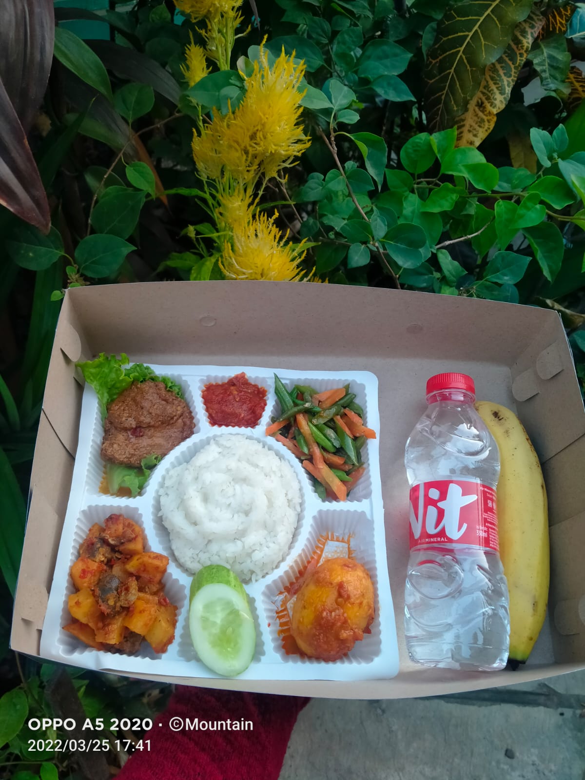 paket nasi box laris