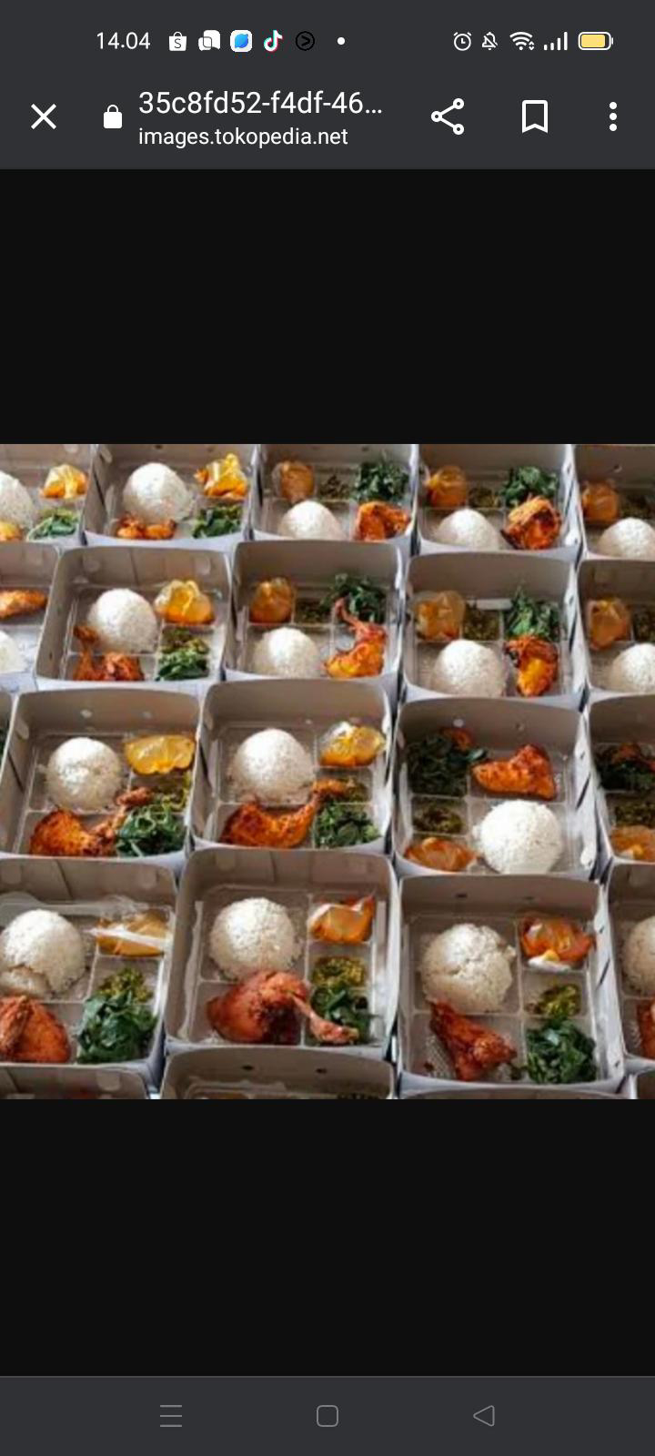 Nasi Rendang2