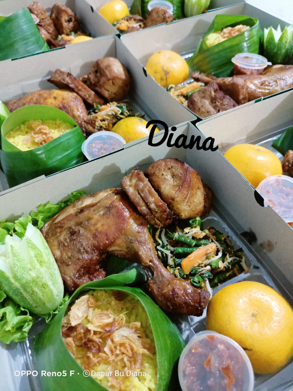 Nasi Box Dapur Bu Diana 1
