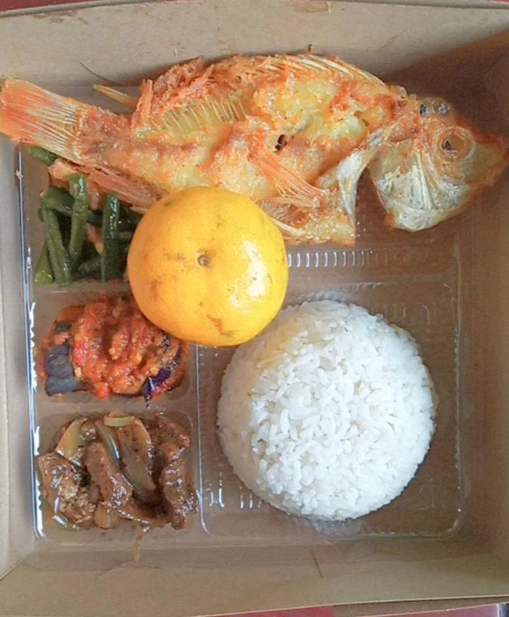 paket nasi box 21