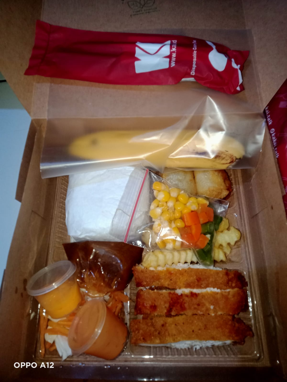 Nasi Box DGI Mantap