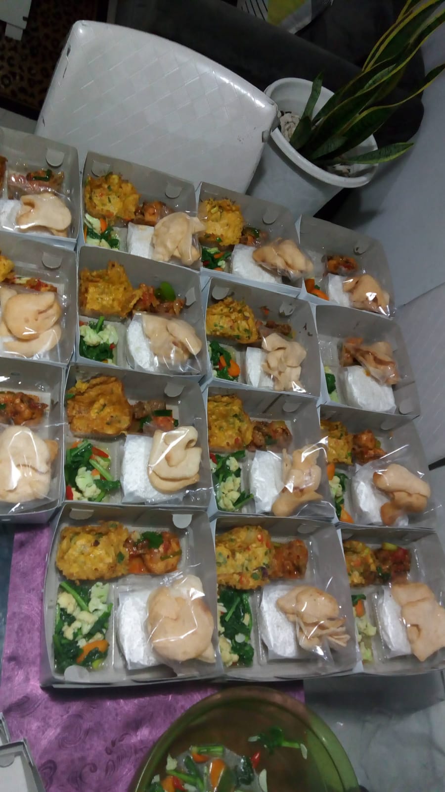 Nasi Box 2
