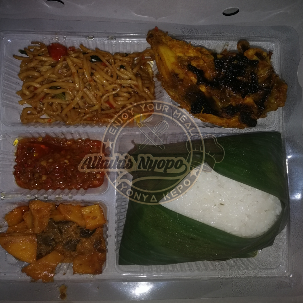 Nasi Box 1