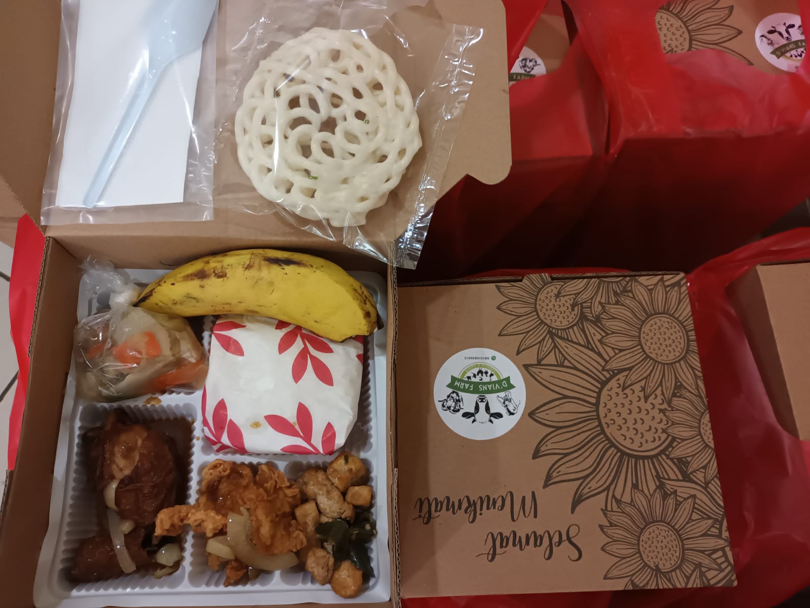 Nasi box D