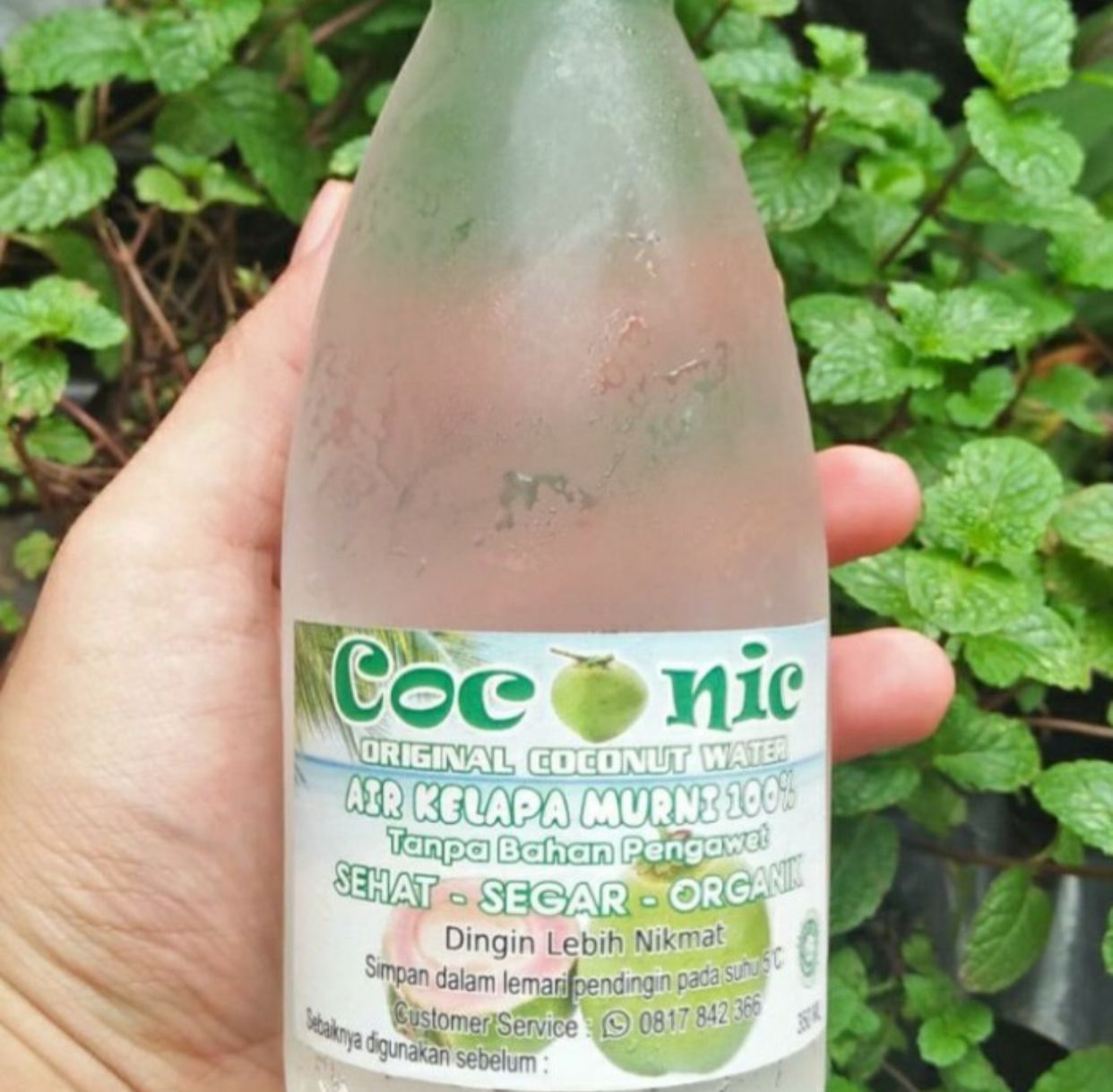 Coconic Air Kelapa Muda