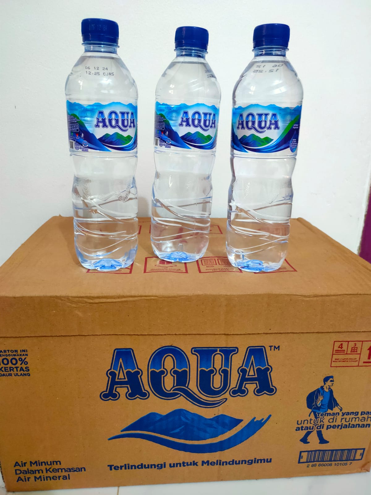 Air Mineral AQUA 600 ml