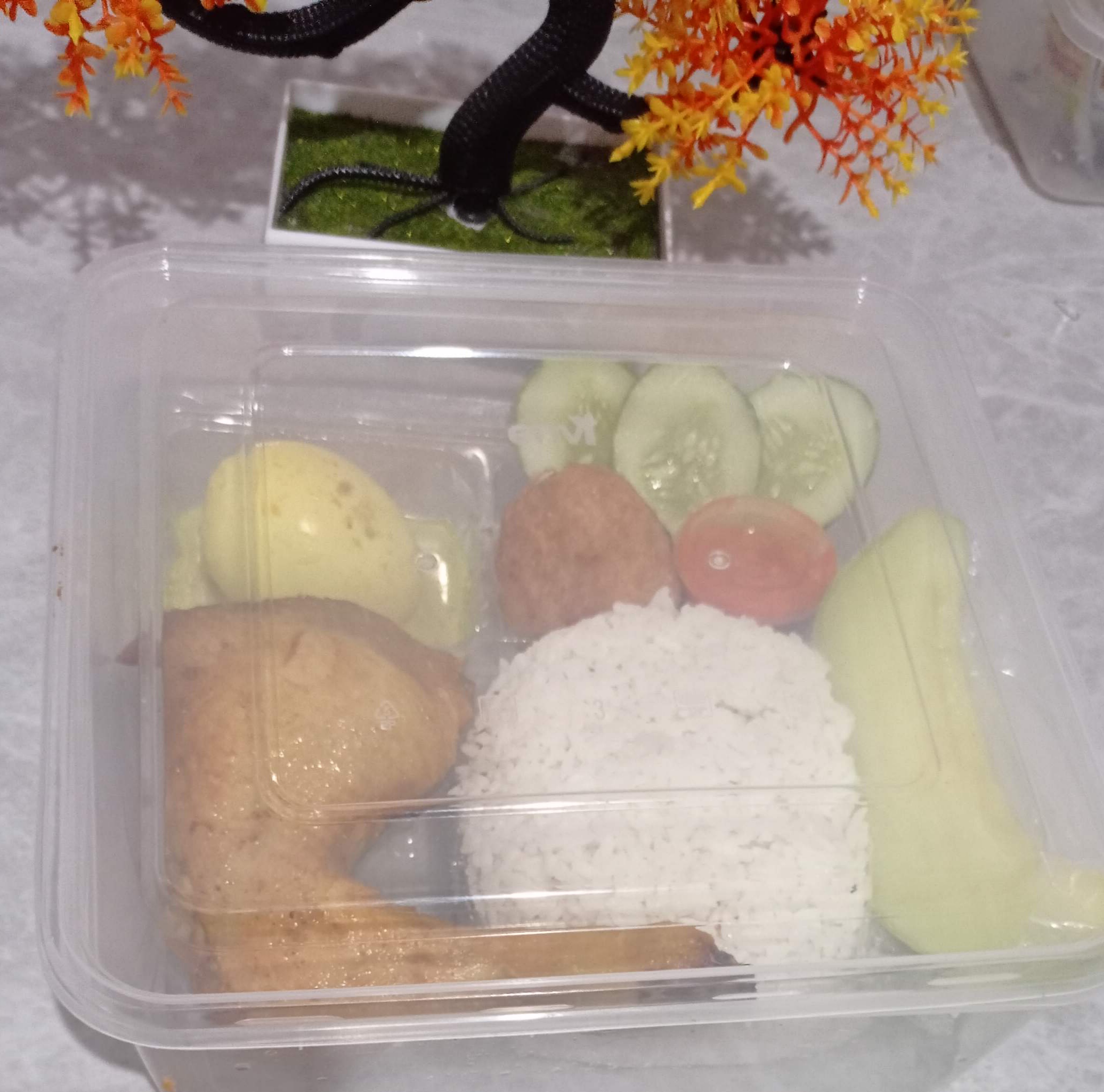 Nasi Box-1 Dapur Laniva