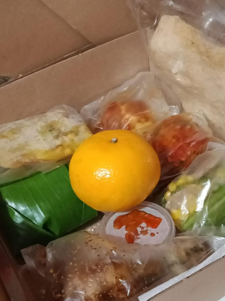nasi box premium vianj2