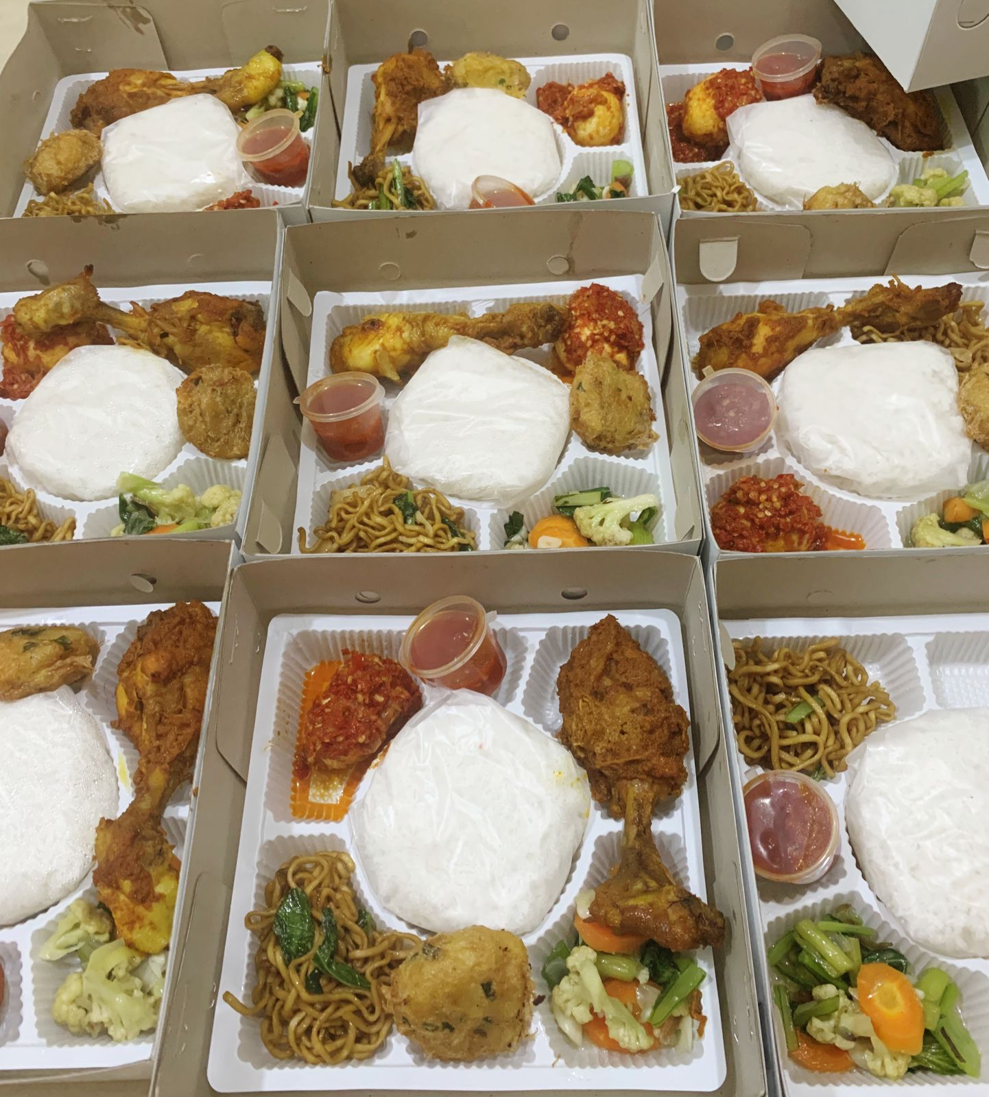 ANEKA NASI BOX