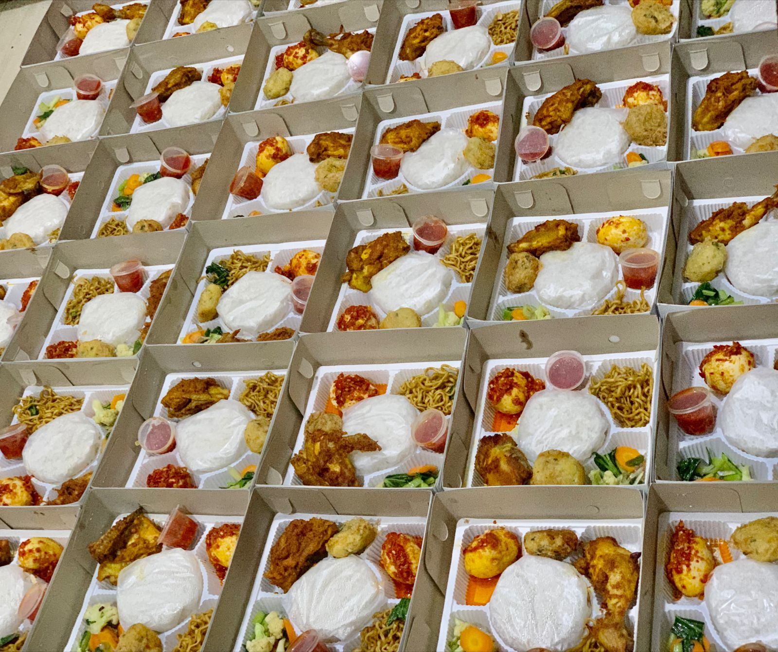 ANEKA NASI BOX