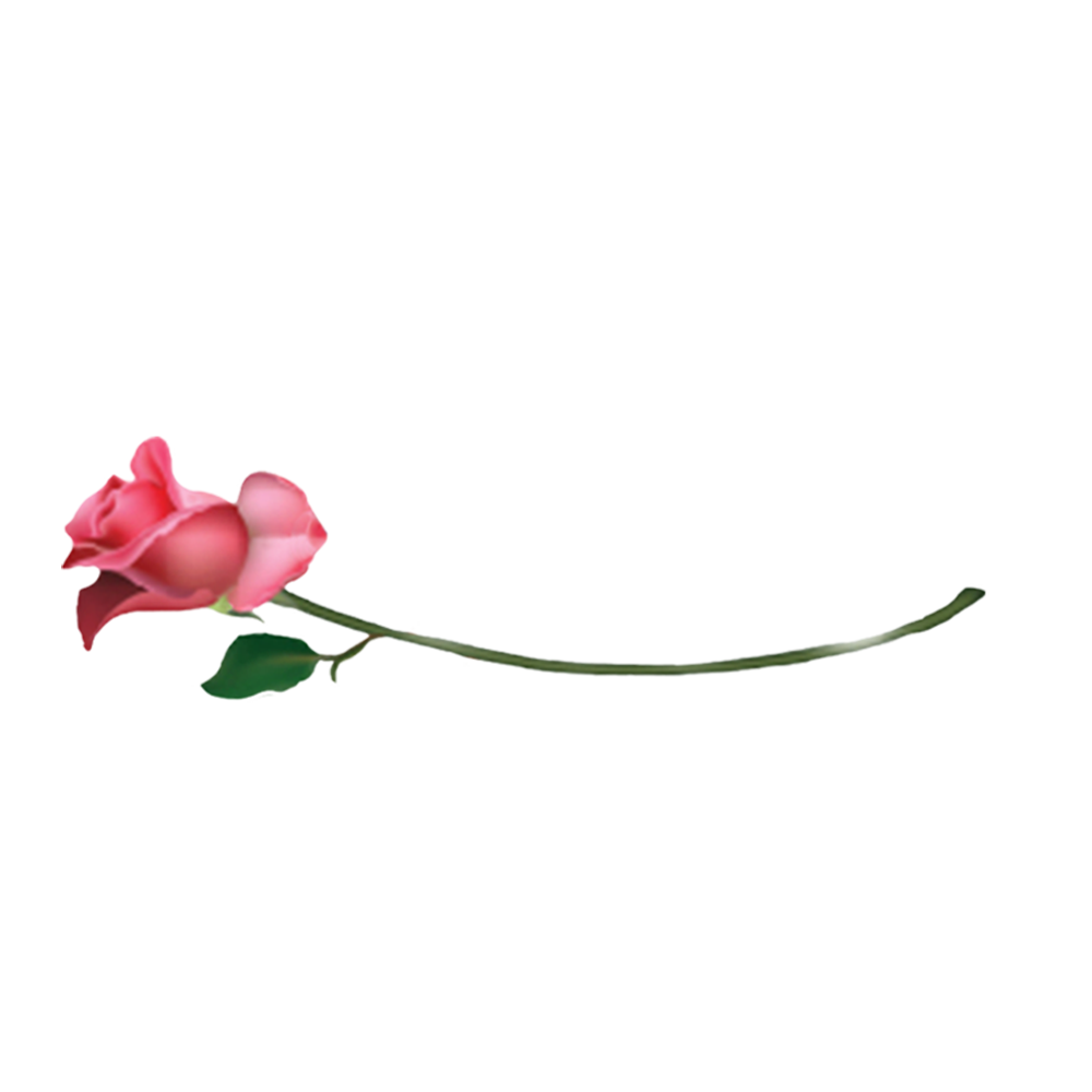 Paket Menu 3