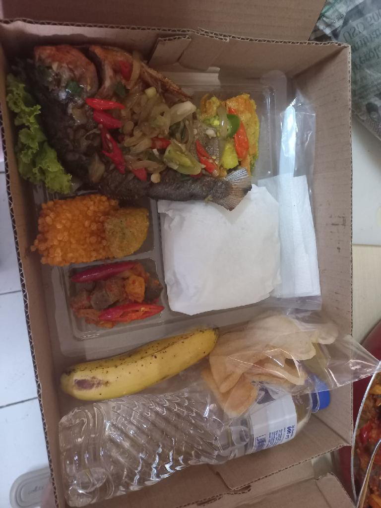 nasi box1