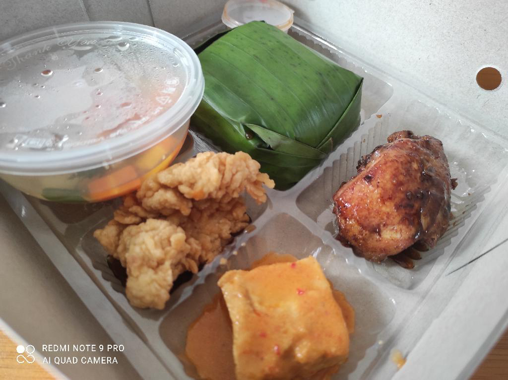 Nasi box Tania 21