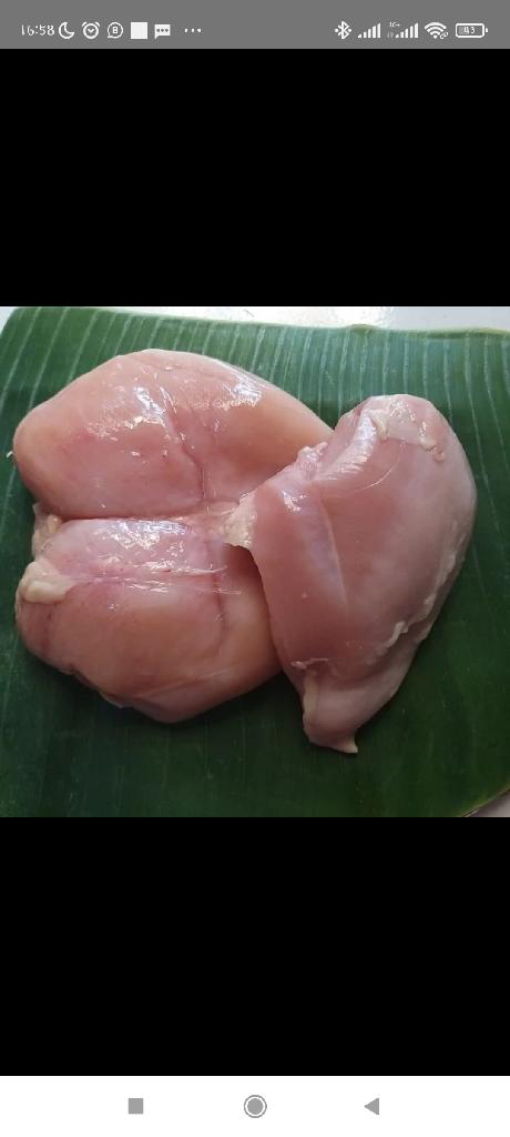 daging ayam dada1