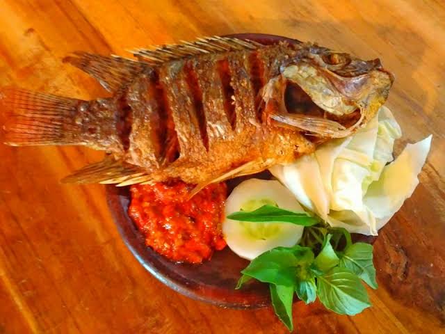 ANEKA IKAN