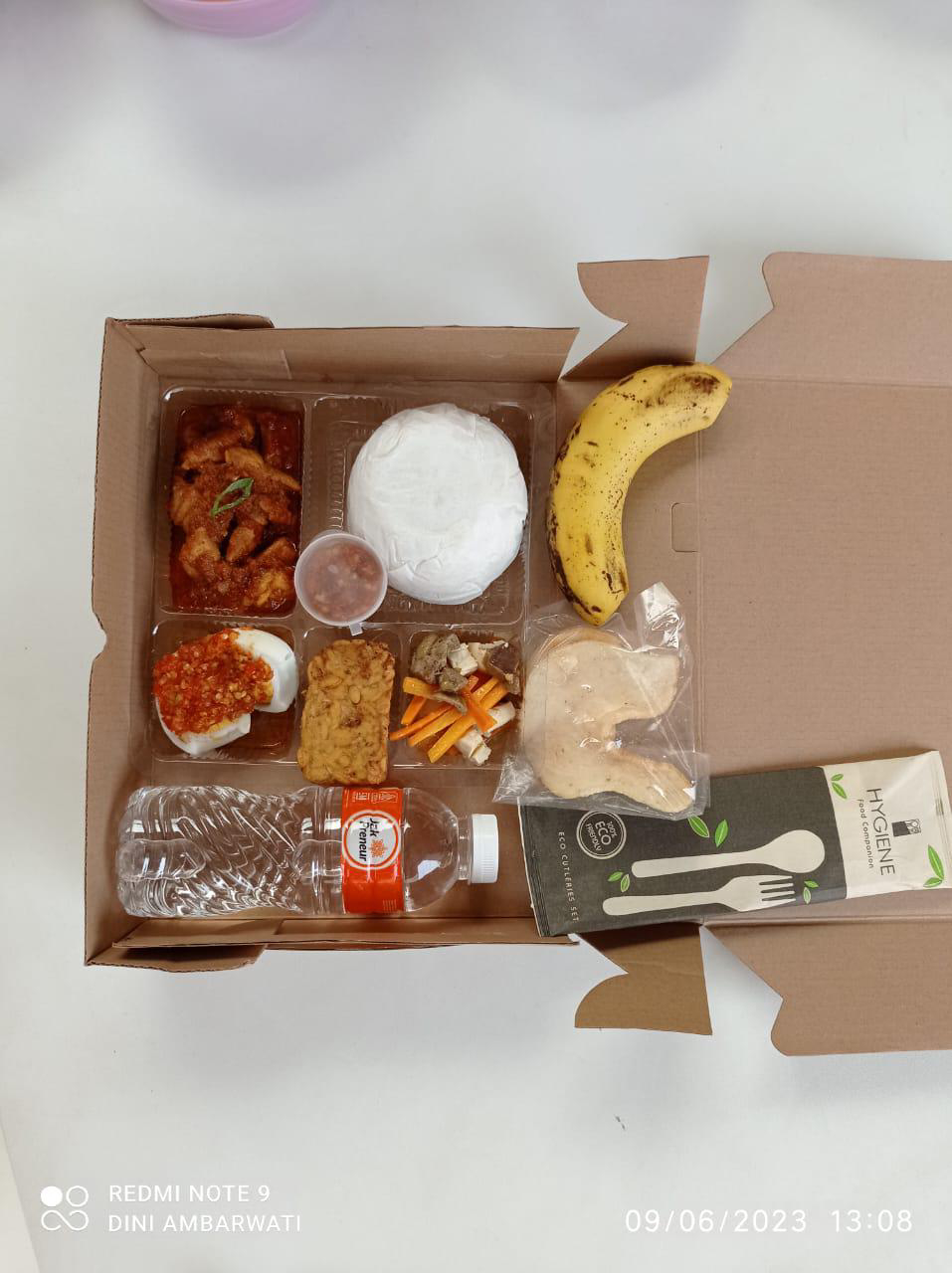 Nasi Box1