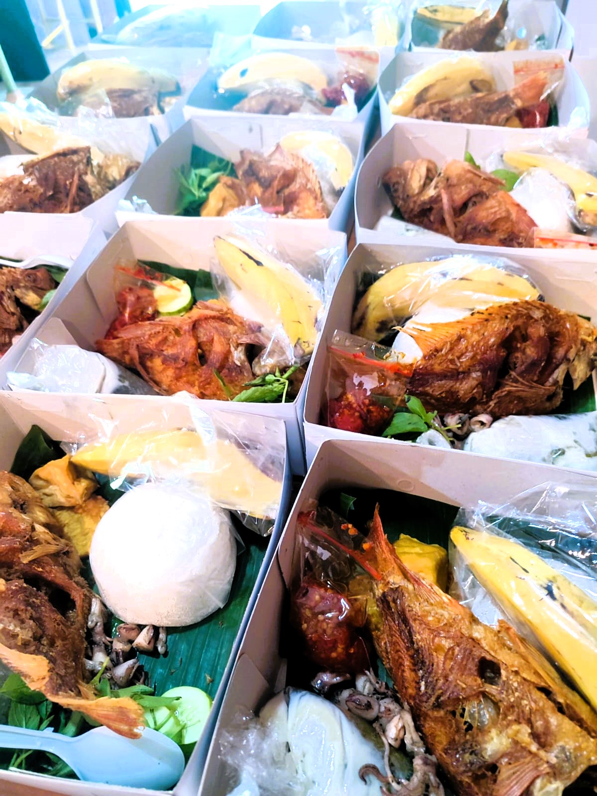 Snack &amp; Lunch Box