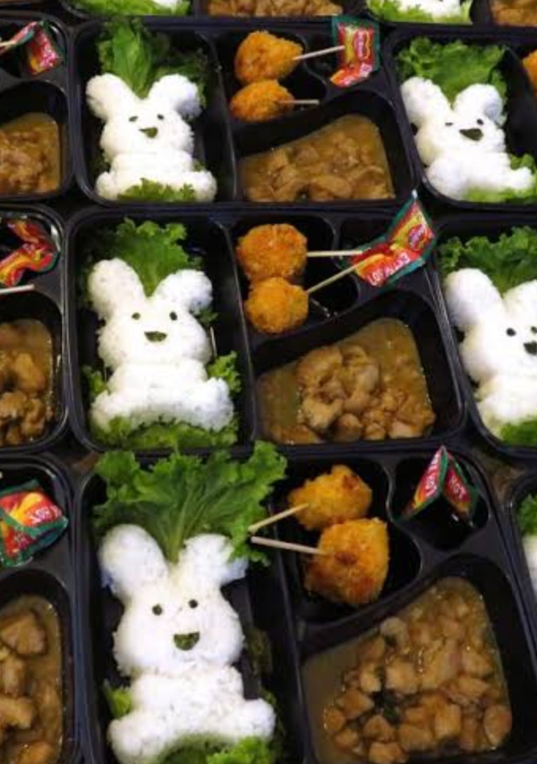 Nasi Box Balita Dapoer Mala