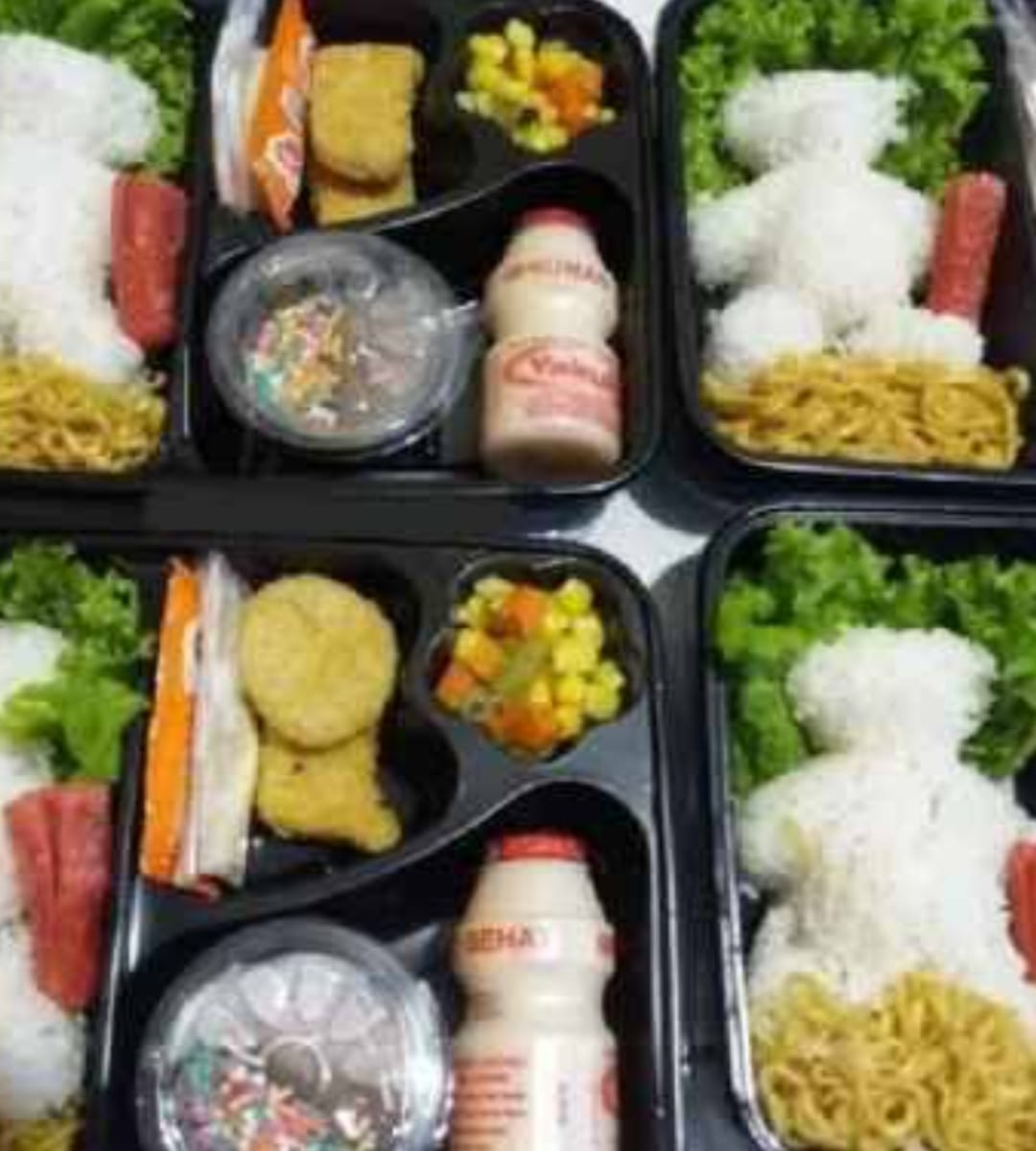 Nasi Box Balita Dapoer Mala 2