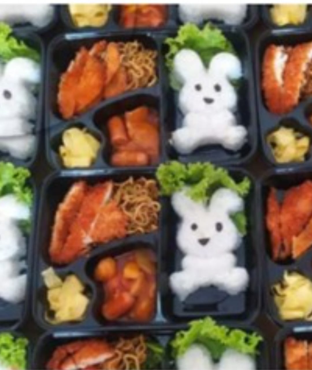 Nasi Box Balita Dapoer Mala 4