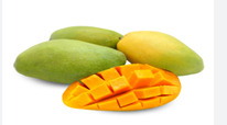 Mangga