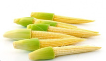Jagung muda