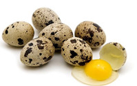 Telur Puyuh