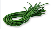 Kacang Panjang