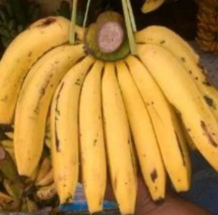 Pisang Ambon