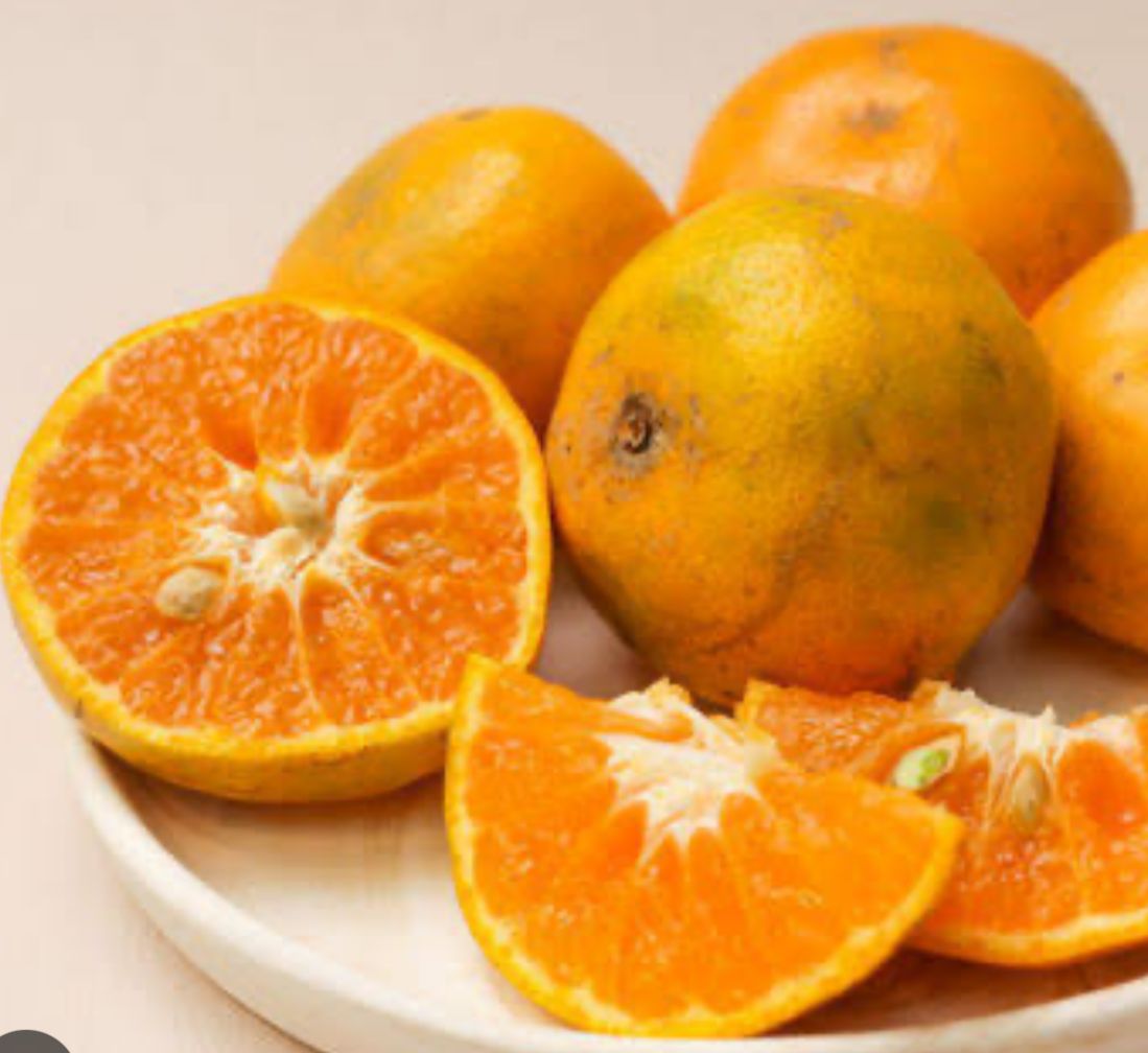 buah jeruk