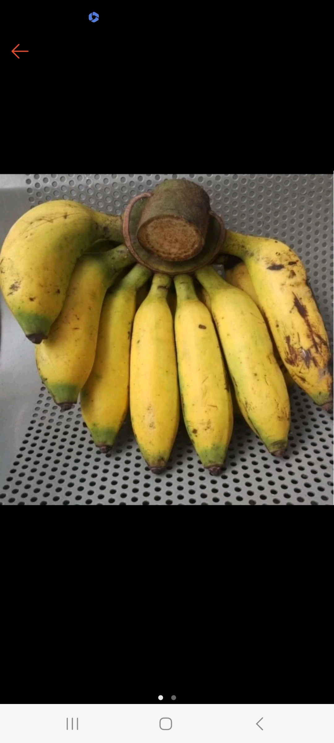 Pisang Uli