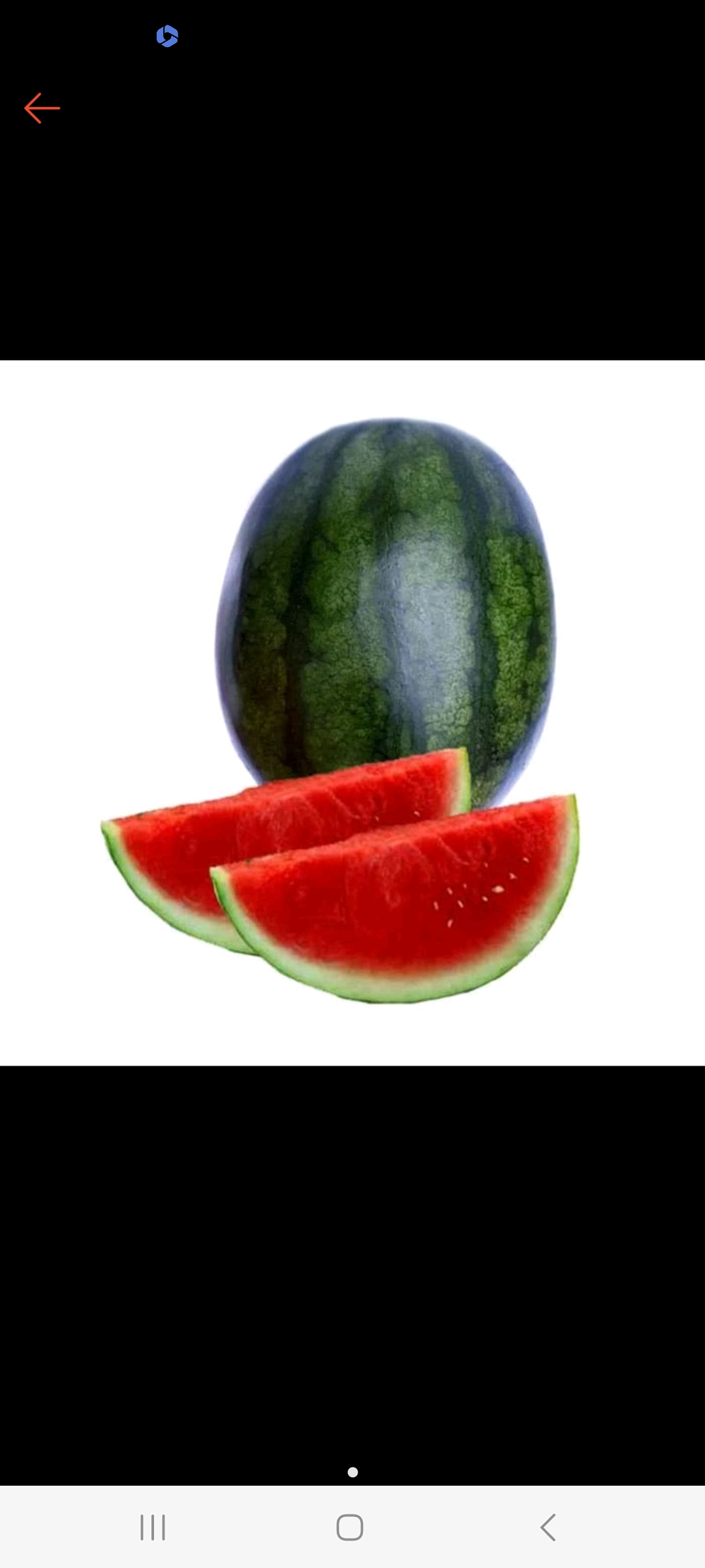 Semangka non biji