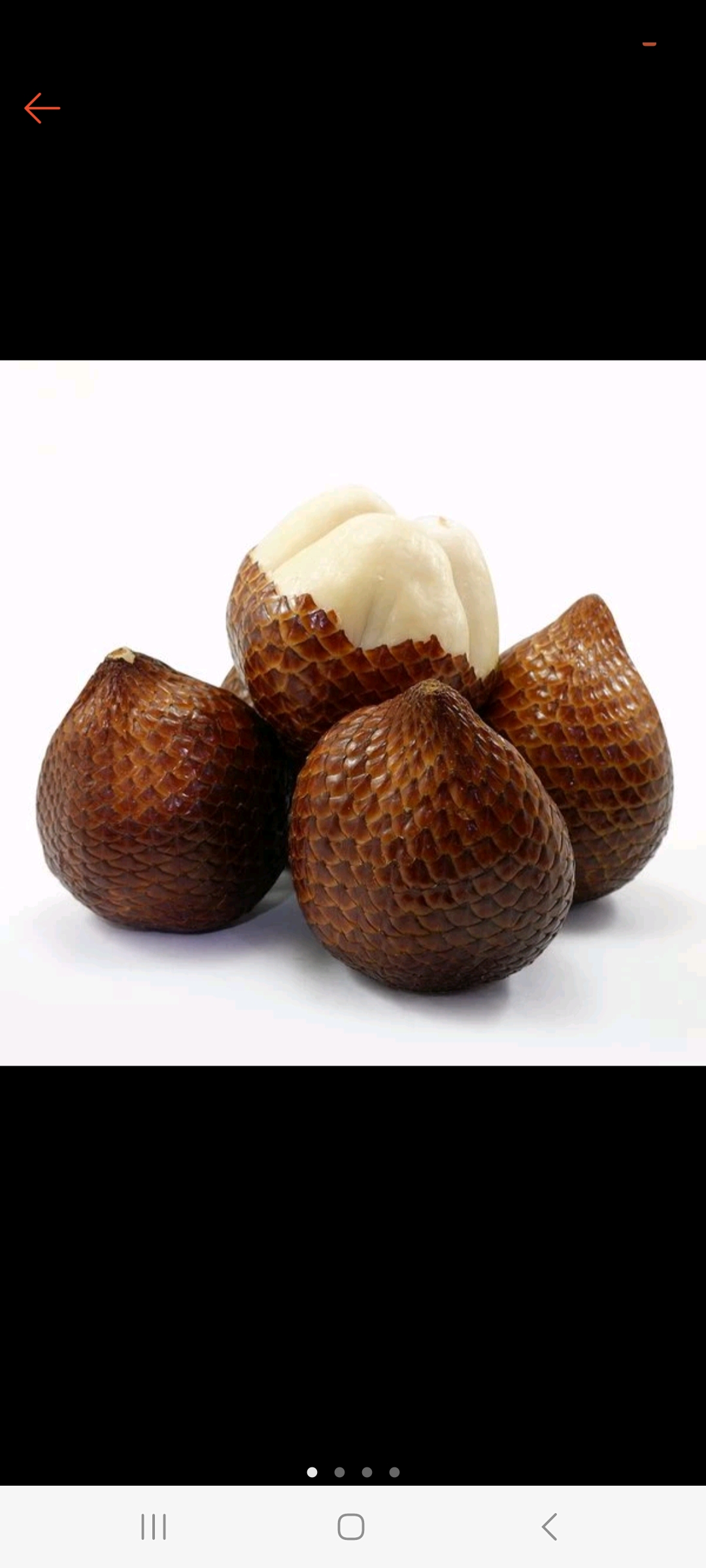 Salak