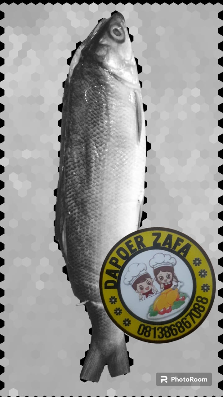 Ikan Bandeng Cabut Tulang