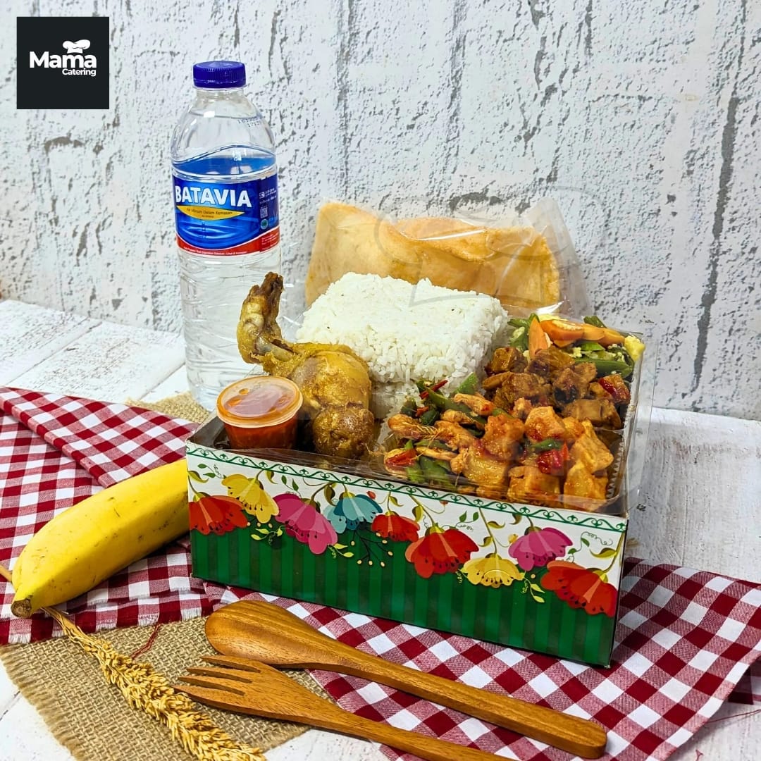 PAKET NASI DAN SNACK BOX MAMA CATERING