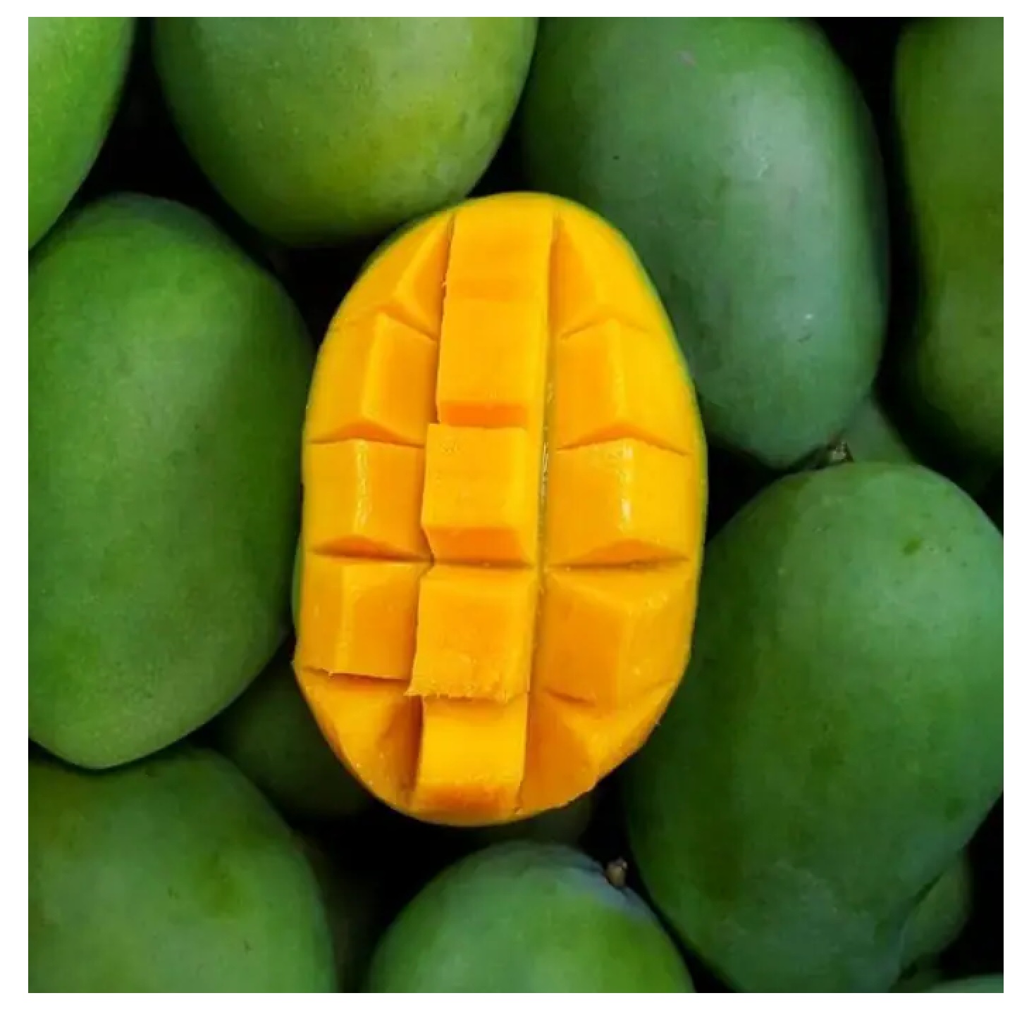 MANGGA