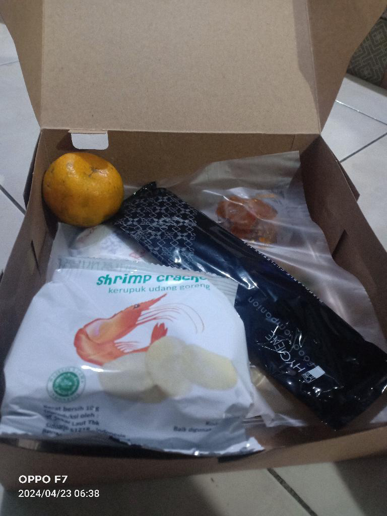 nasi box2