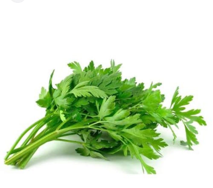DAUN SLEDRI