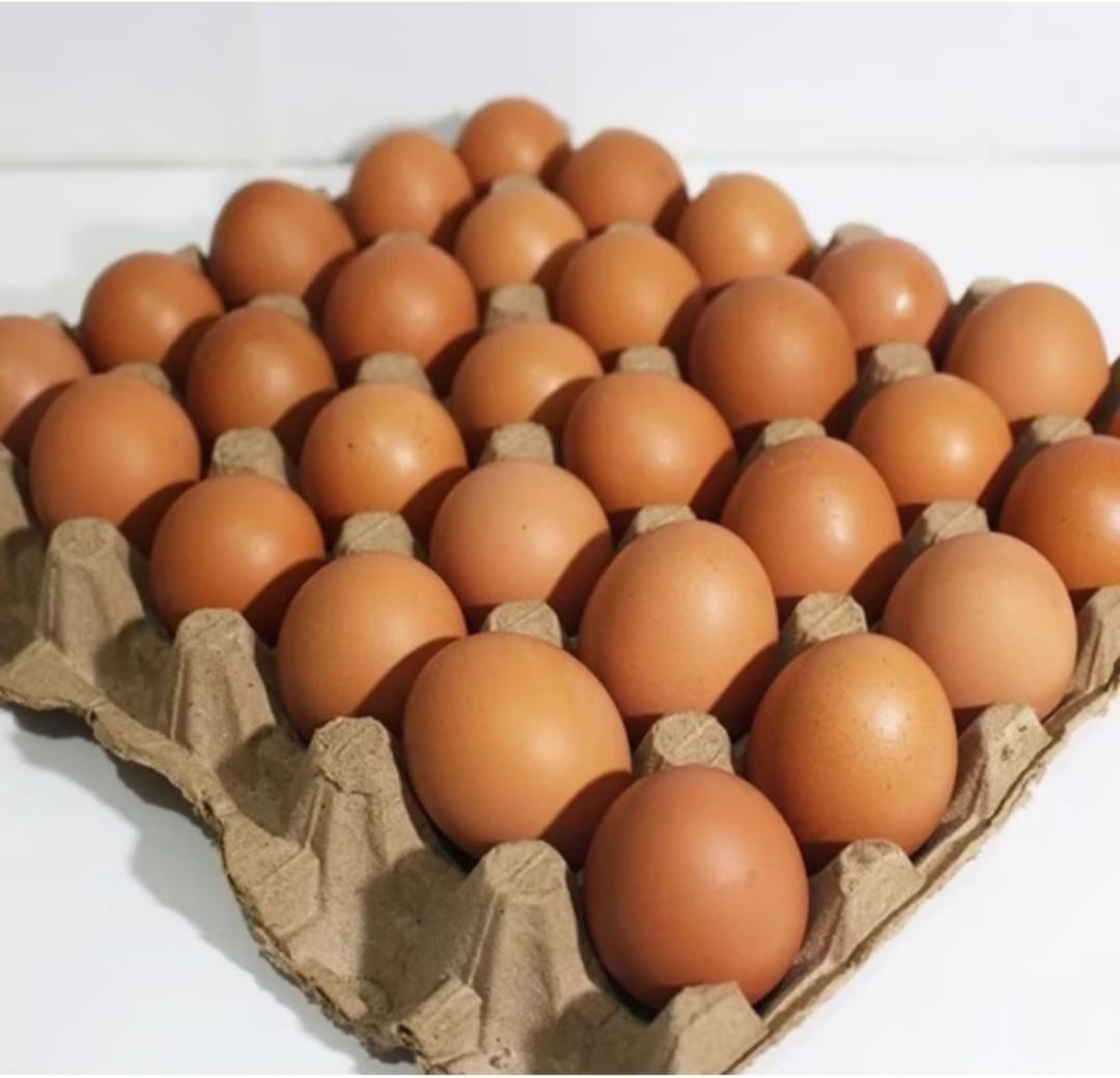 TELUR AYAM