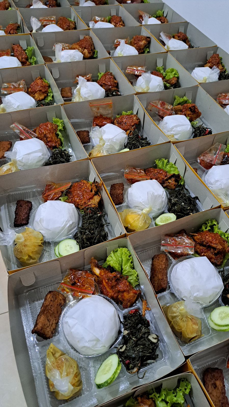 NASI BOX RFF 1