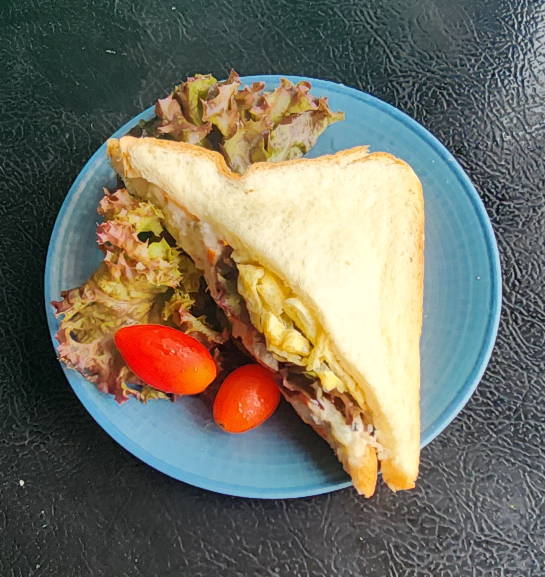 Snack Sandwich Tuna, Ayam, Daging ByteLyfe
