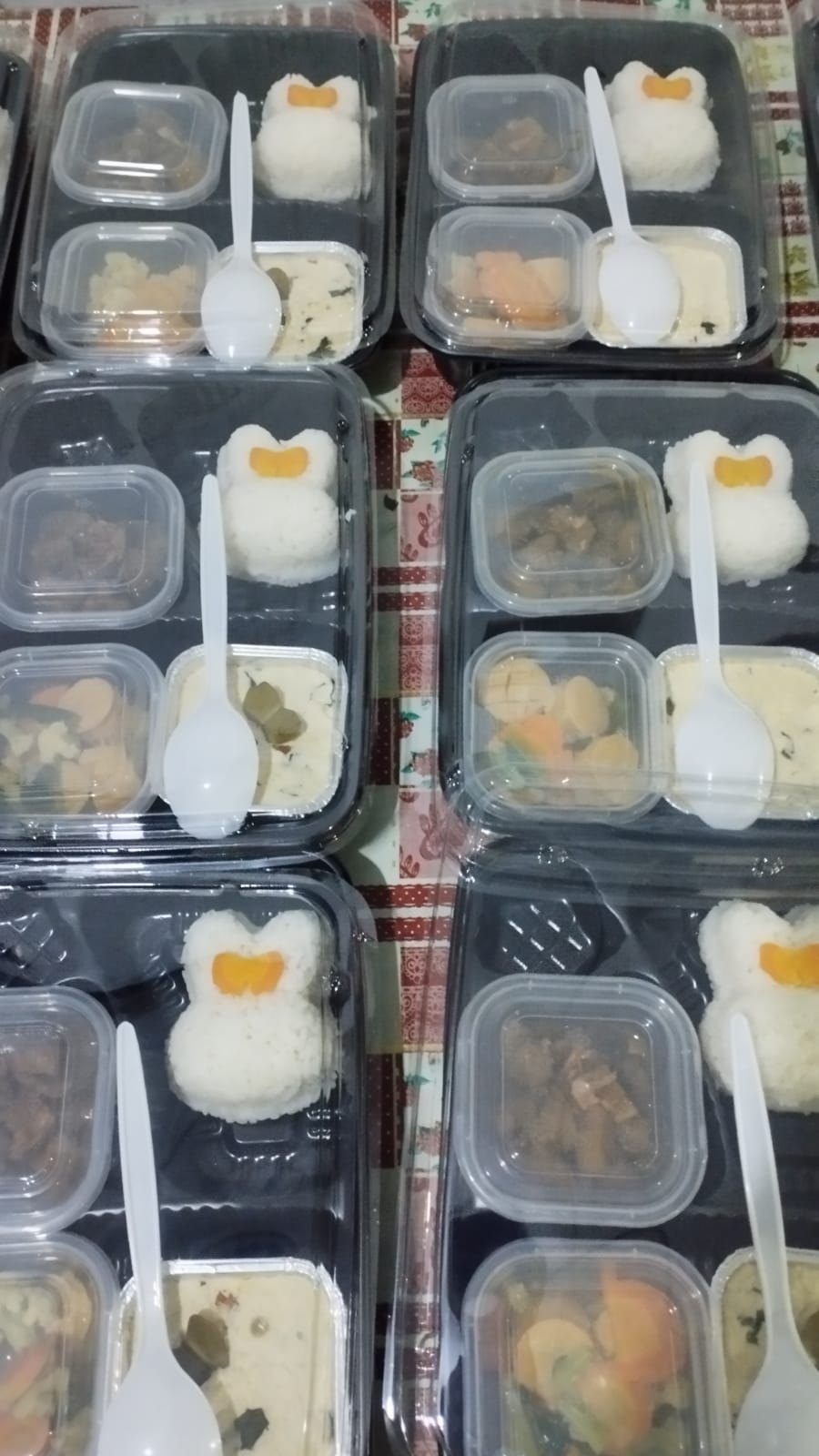 PMT Pangan Lokal Balita Gizi Kurang
