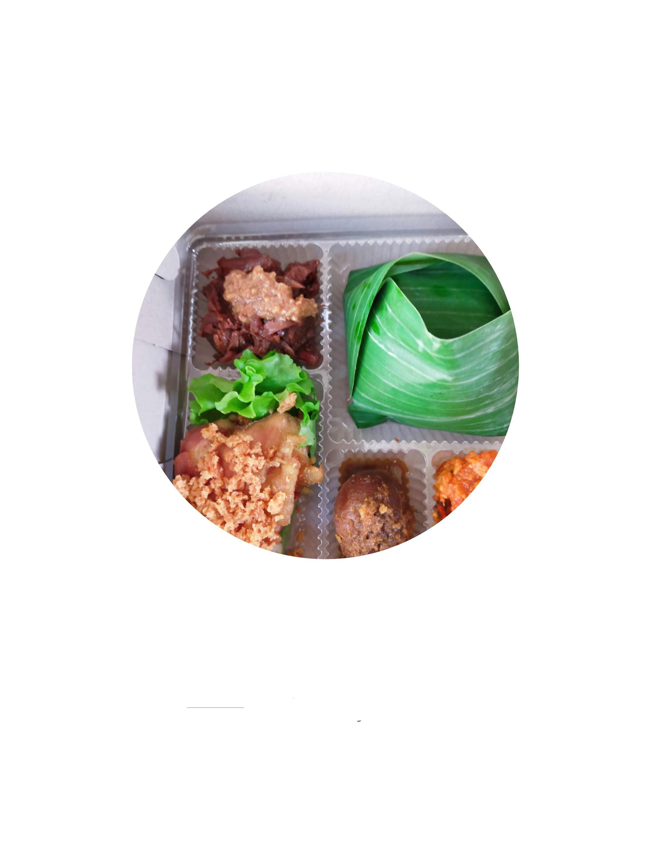 Nasi Box Steven Catering1