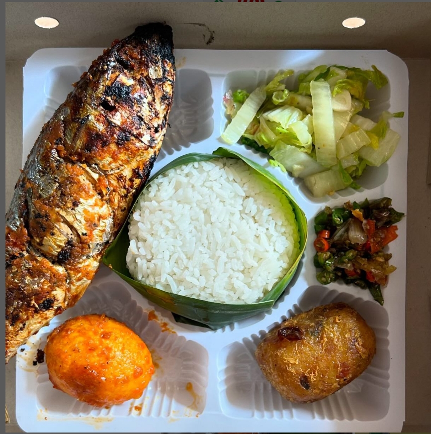Nasi Box 2