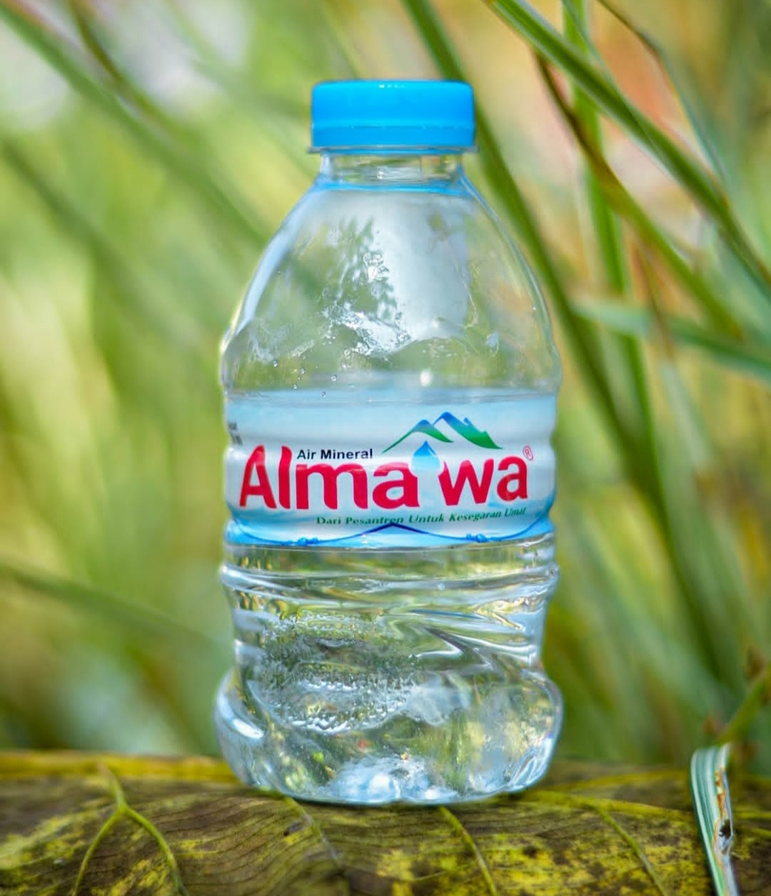 Alma'Wa 330 ML