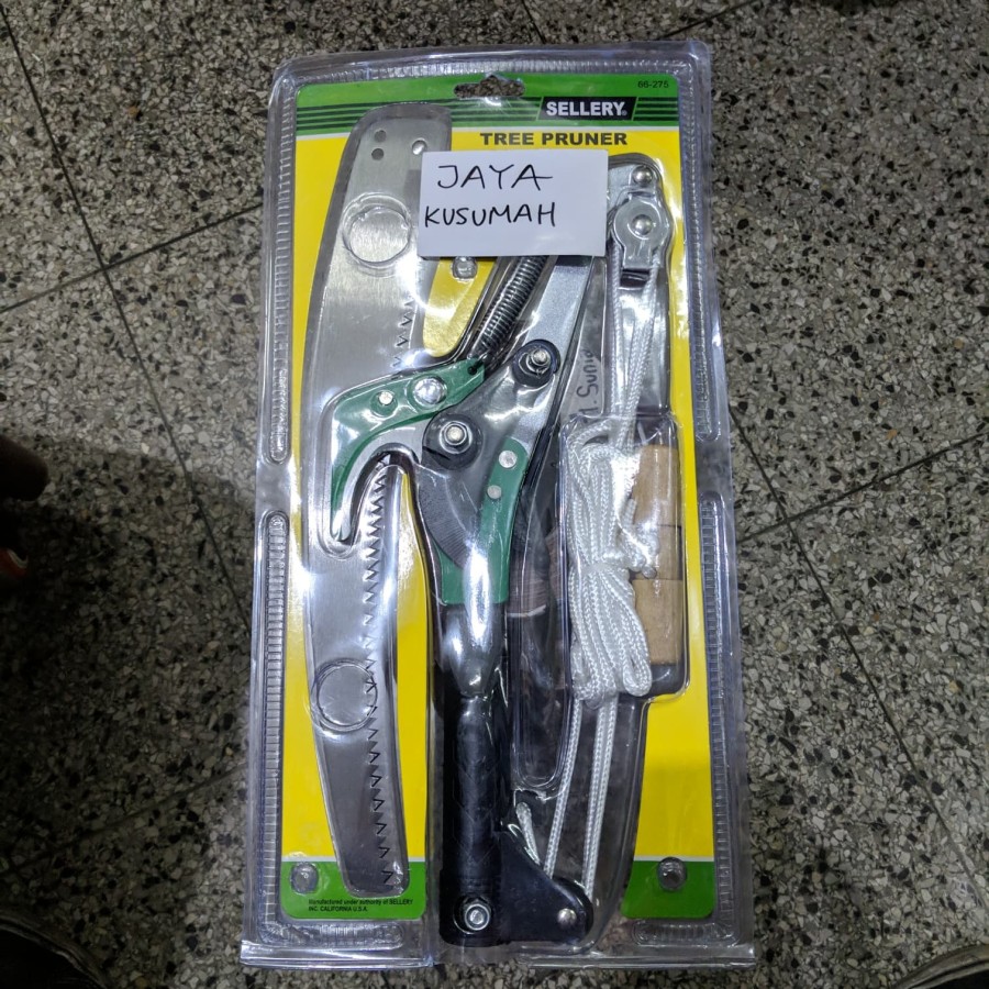 Gergaji Dahan