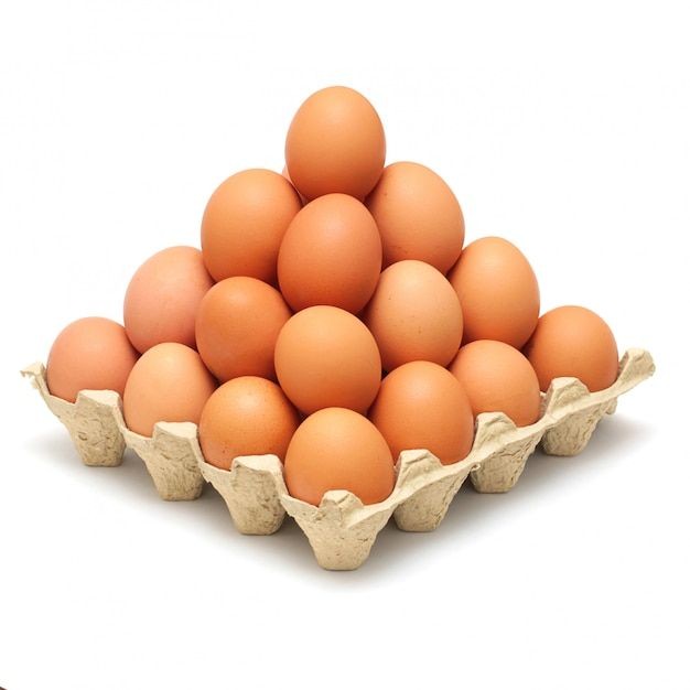 TELUR AYAM
