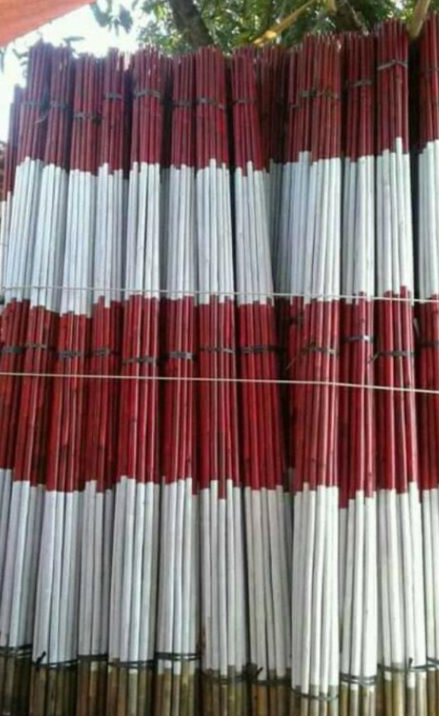 Bambu 1